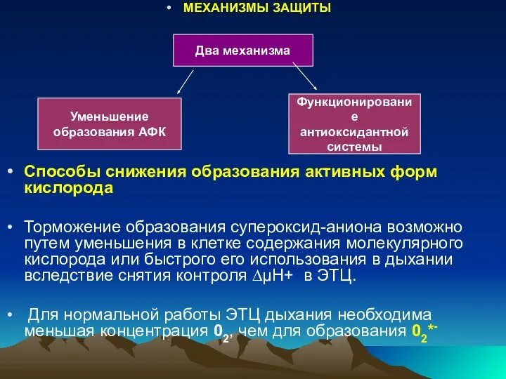 МЕХАНИЗМЫ ЗАЩИТЫ Способы снижения образования активных форм кислорода Торможение образования супероксид-аниона