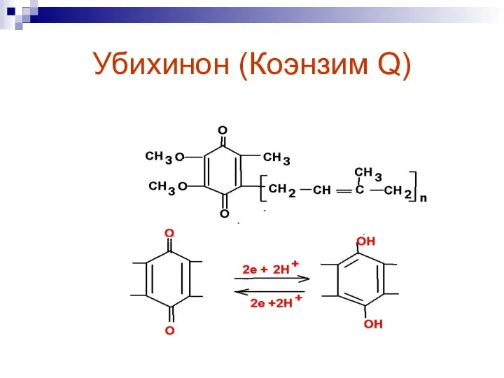 Убихинон (Коэнзим Q)