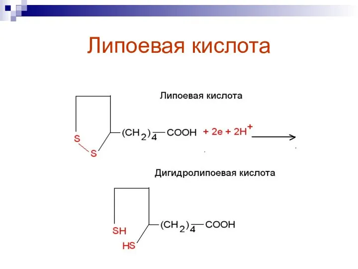 Липоевая кислота