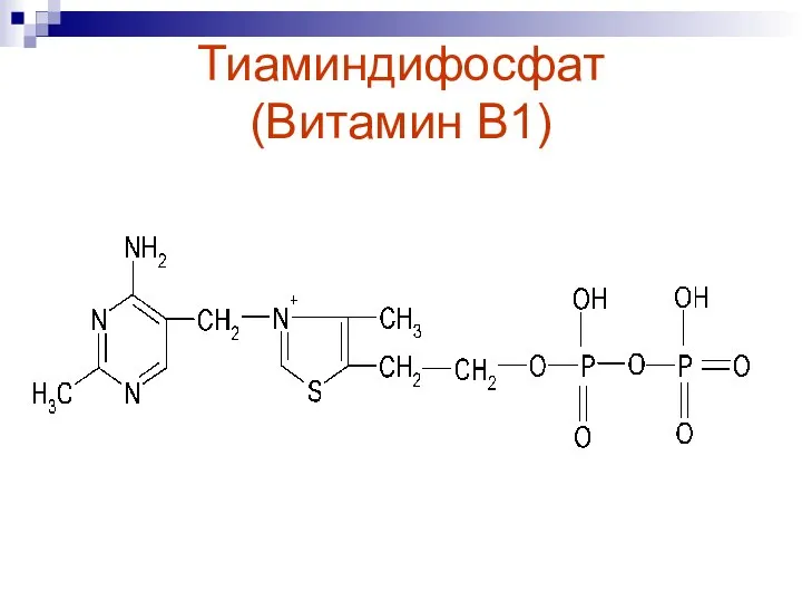 Тиаминдифосфат (Витамин В1)