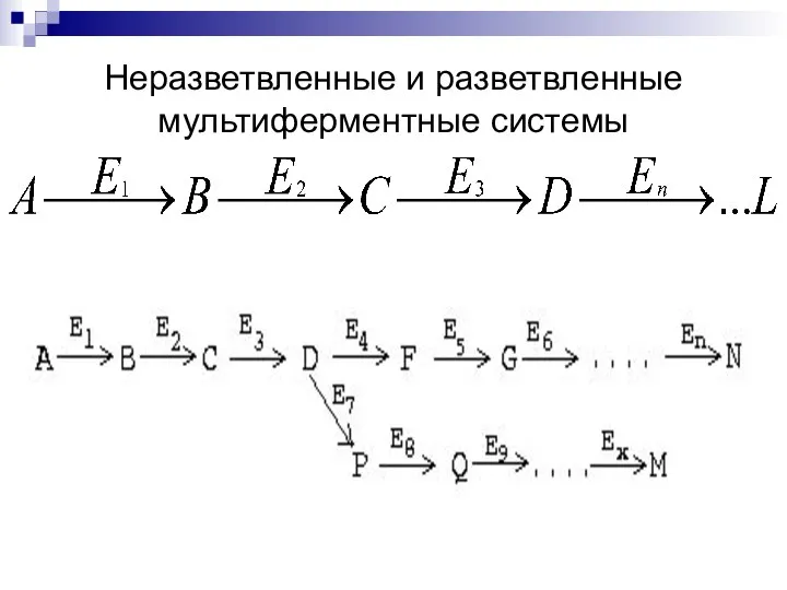 Неразветвленные и разветвленные мультиферментные системы