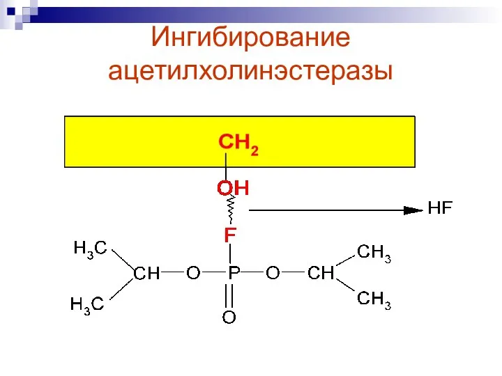 Ингибирование ацетилхолинэстеразы