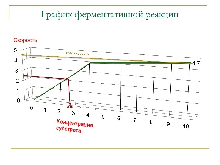 Концентрация субстрата Скорость max скорость Кm График ферментативной реакции