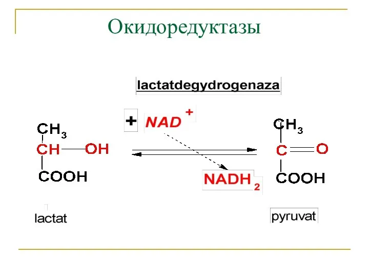 Окидоредуктазы