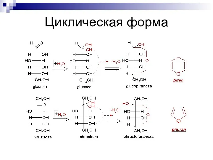 Циклическая форма