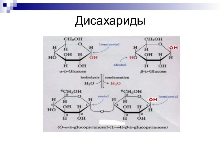 Дисахариды