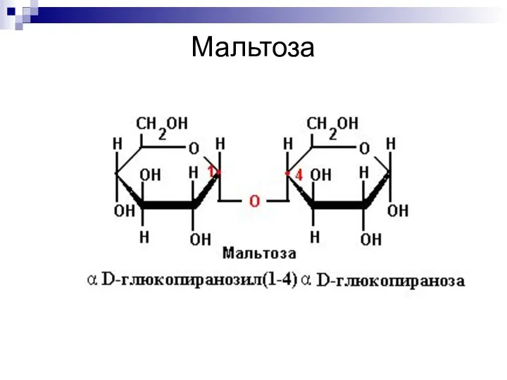 Мальтоза