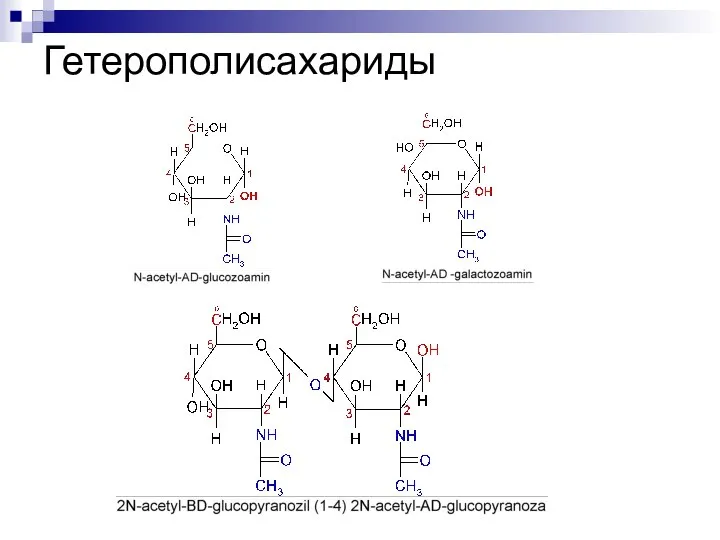 Гетерополисахариды