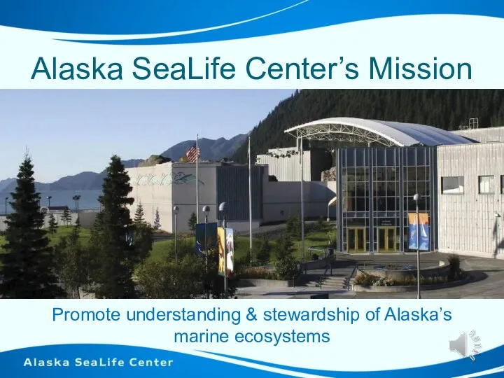 Alaska SeaLife Center’s Mission Promote understanding & stewardship of Alaska’s marine ecosystems