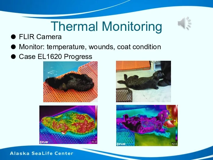 Thermal Monitoring FLIR Camera Monitor: temperature, wounds, coat condition Case EL1620 Progress