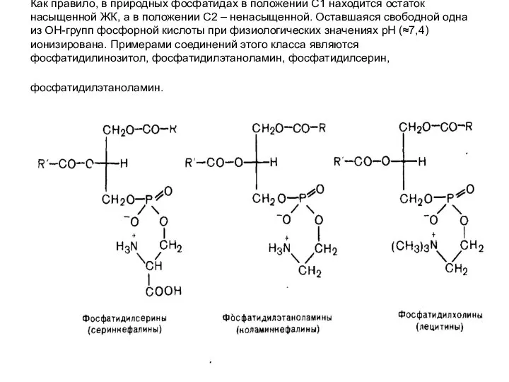 Как правило, в природных фосфатидах в положении С1 находится остаток насыщенной