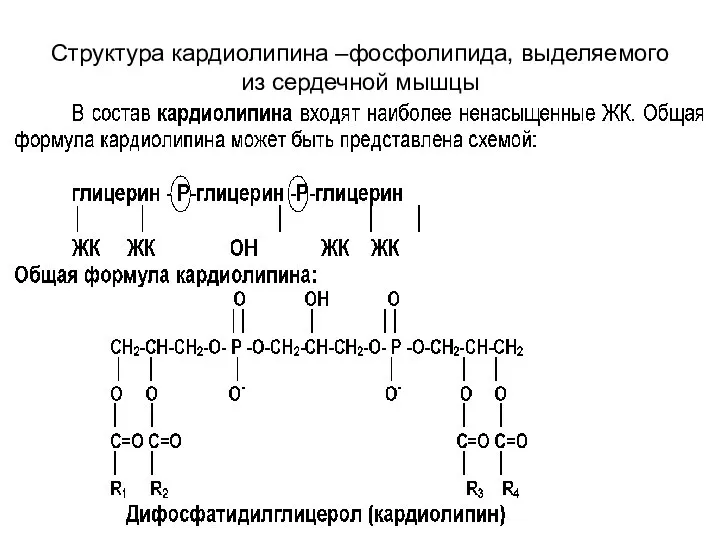 Структура кардиолипина –фосфолипида, выделяемого из сердечной мышцы