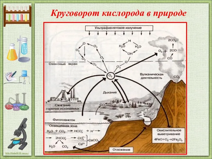 Круговорот кислорода в природе