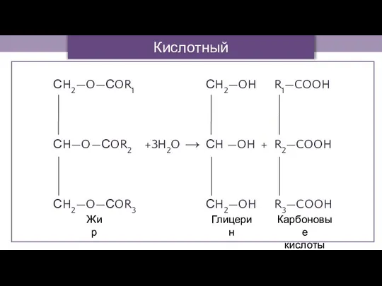 +3H2O → + Кислотный гидролиз Жир Глицерин Карбоновые кислоты