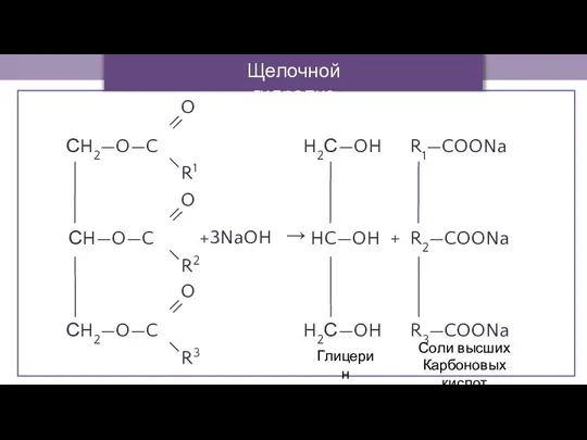 Щелочной гидролиз Глицерин Соли высших Карбоновых кислот