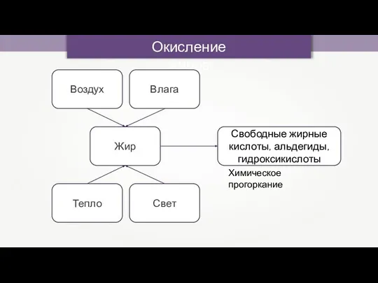 Окисление жиров Жир Воздух Влага Тепло Свет Свободные жирные кислоты, альдегиды, гидроксикислоты Химическое прогоркание