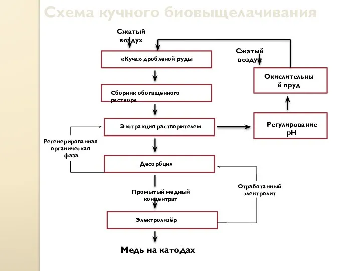 Схема кучного биовыщелачивания Сжатый воздух «Куча» дробленой руды Сборник обогащенного раствора