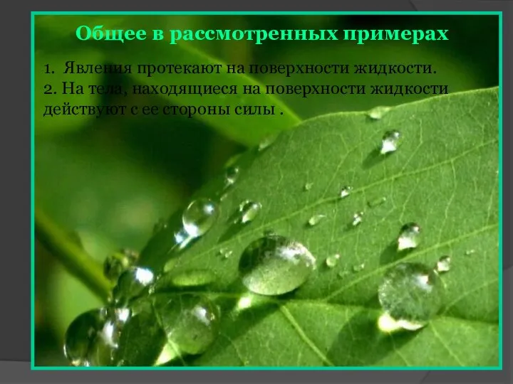 1. Явления протекают на поверхности жидкости. 2. На тела, находящиеся на