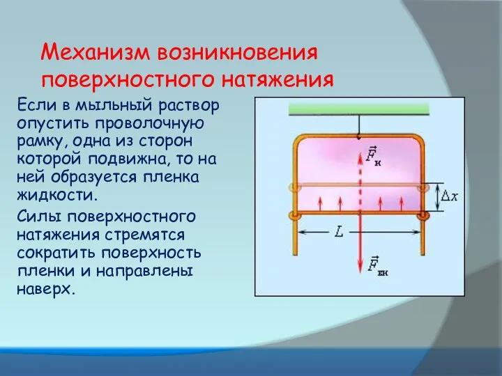 Механизм возникновения поверхностного натяжения Если в мыльный раствор опустить проволочную рамку,