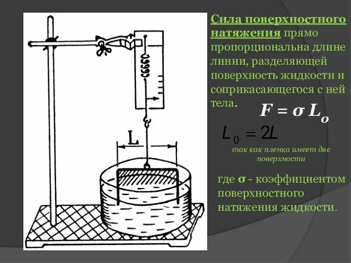 Сила поверхностного натяжения прямо пропорциональна длине линии, разделяющей поверхность жидкости и