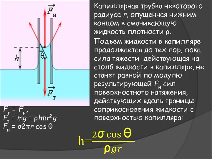 Капиллярная трубка некоторого радиуса r, опущенная нижним концом в смачивающую жидкость