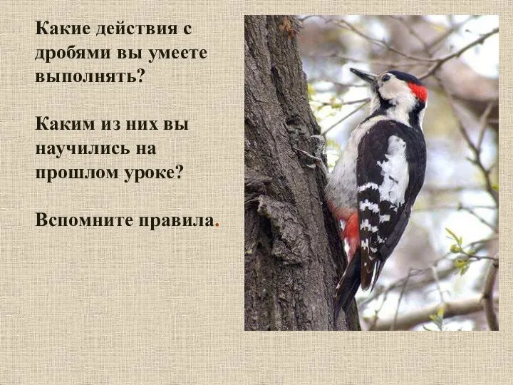 Какие действия с дробями вы умеете выполнять? Каким из них вы