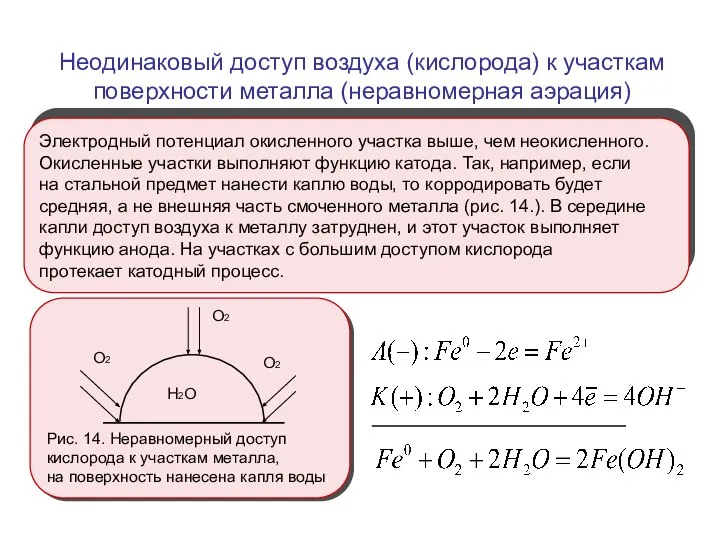 Электродный потенциал окисленного участка выше, чем неокисленного. Окисленные участки выполняют функцию