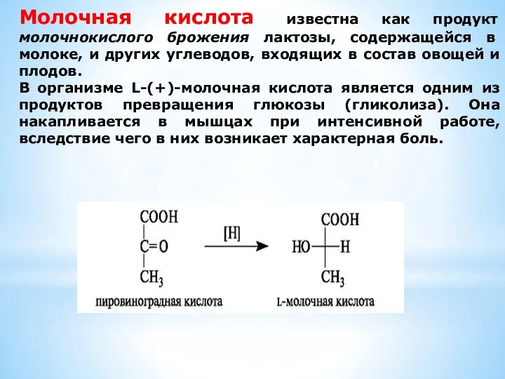 Молочная кислота известна как продукт молочнокислого брожения лактозы, содержащейся в молоке,