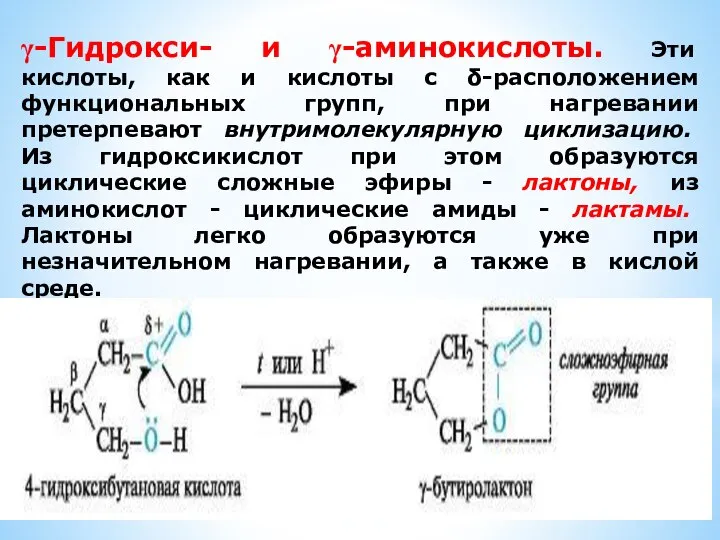 γ-Гидрокси- и γ-аминокислоты. Эти кислоты, как и кислоты с δ-расположением функциональных