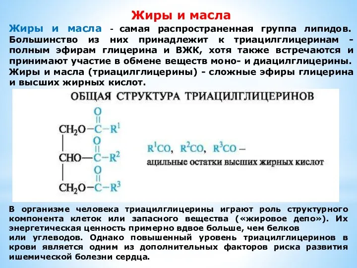 Жиры и масла Жиры и масла - самая распространенная группа липидов.