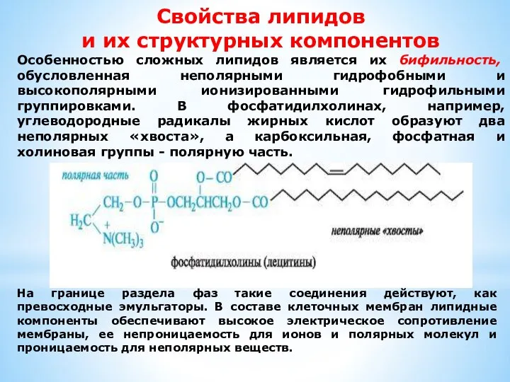 Свойства липидов и их структурных компонентов Особенностью сложных липидов является их