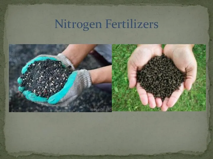 Nitrogen Fertilizers