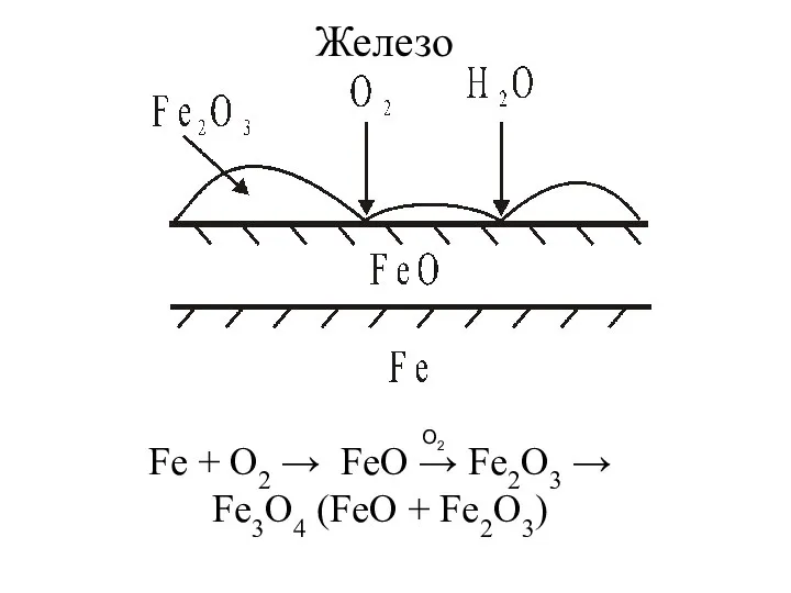 Железо Fe + O2 → FeO → Fe2O3 → Fe3O4 (FeO + Fe2O3) O2