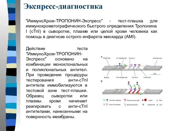 Экспресс-диагностика "ИммуноХром-ТРОПОНИН-Экспресс" - тест-плашка для иммунохроматографического быстрого определения Тропонина I (cTnl)