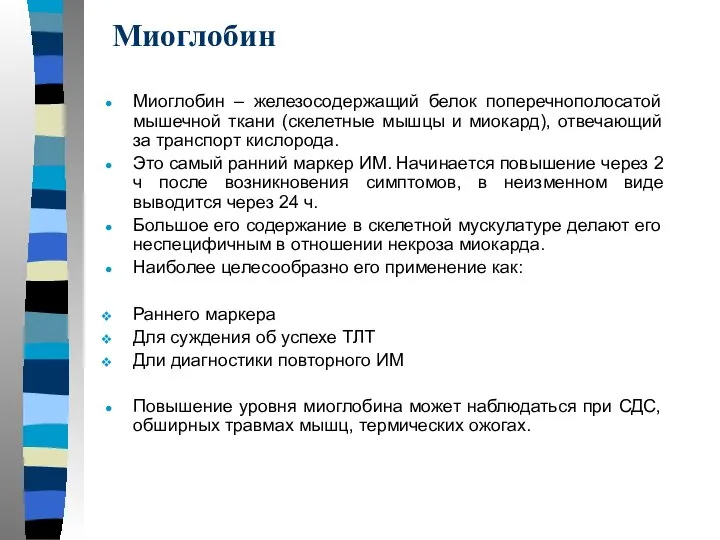 Миоглобин Миоглобин – железосодержащий белок поперечнополосатой мышечной ткани (скелетные мышцы и