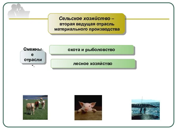 Сельское хозяйство – вторая ведущая отрасль материального производства Смежные отрасли - охота и рыболовство лесное хозяйство