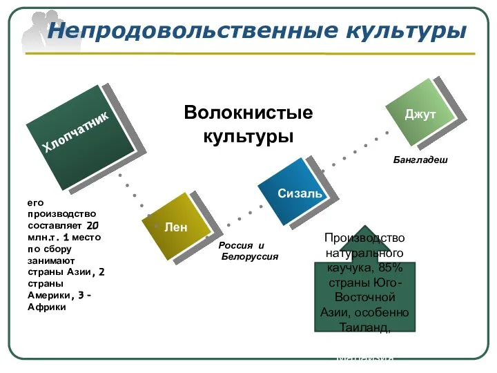 Непродовольственные культуры Бангладеш Хлопчатник Лен Сизаль Джут Волокнистые культуры Россия и