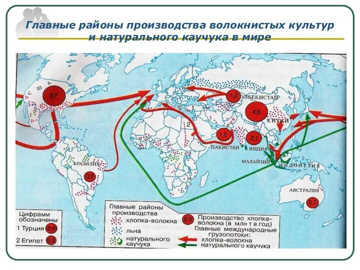 Главные районы производства волокнистых культур и натурального каучука в мире