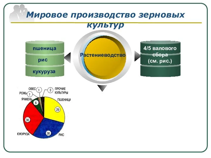 Мировое производство зерновых культур