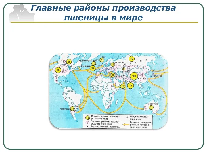 Главные районы производства пшеницы в мире