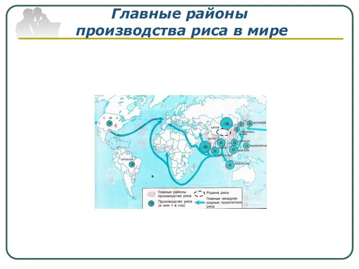 Главные районы производства риса в мире