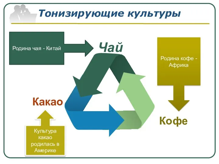 Тонизирующие культуры Какао Кофе Чай Родина чая - Китай Родина кофе