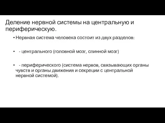 Деление нервной системы на центральную и периферическую. Нервная система человека состоит