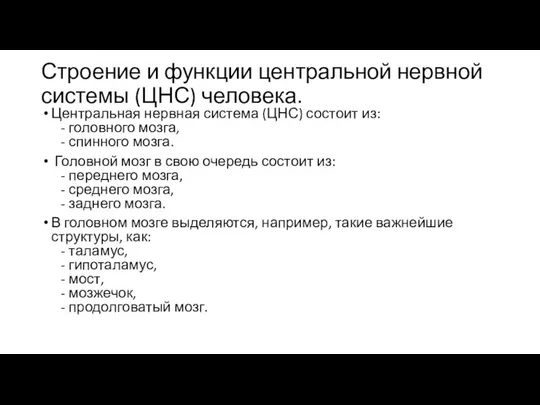 Строение и функции центральной нервной системы (ЦНС) человека. Центральная нервная система