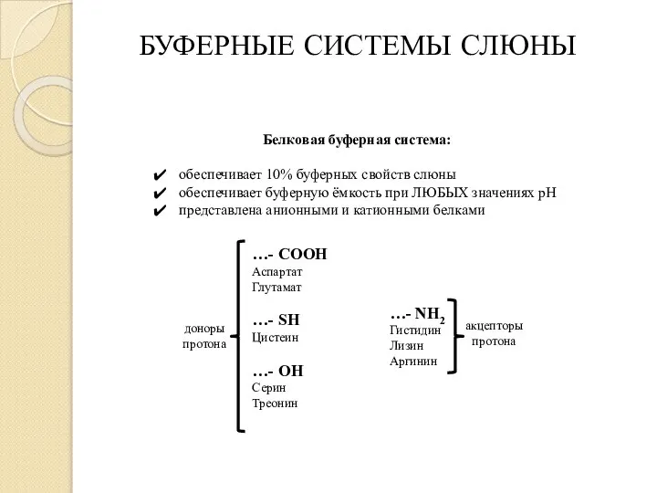 БУФЕРНЫЕ СИСТЕМЫ СЛЮНЫ Белковая буферная система: обеспечивает 10% буферных свойств слюны