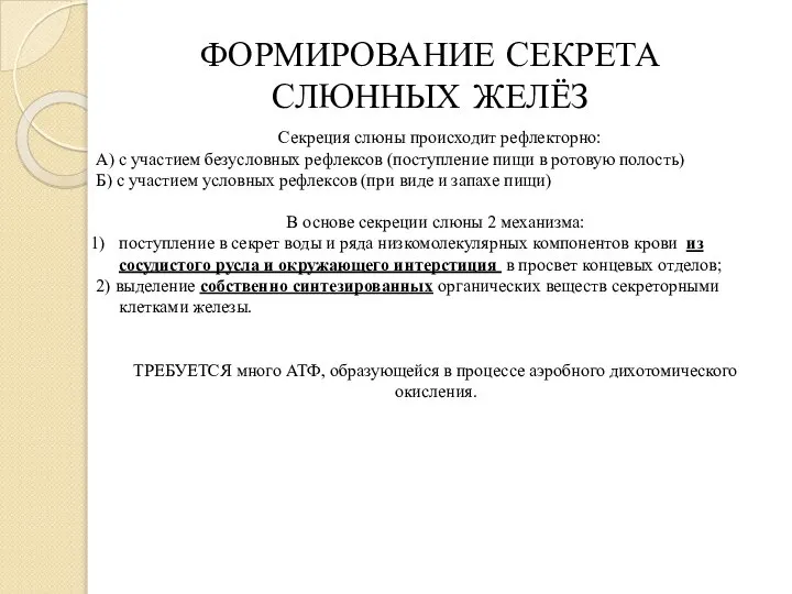 ФОРМИРОВАНИЕ СЕКРЕТА СЛЮННЫХ ЖЕЛЁЗ Секреция слюны происходит рефлекторно: А) с участием