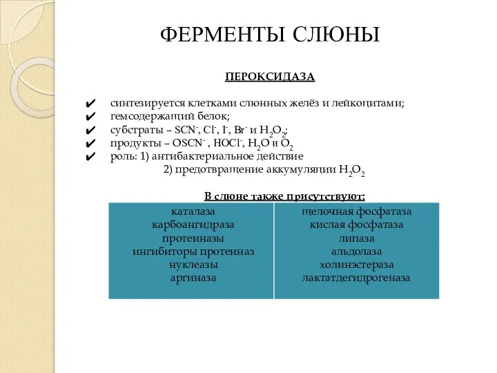 ФЕРМЕНТЫ СЛЮНЫ ПЕРОКСИДАЗА синтезируется клетками слюнных желёз и лейкоцитами; гемсодержащий белок;