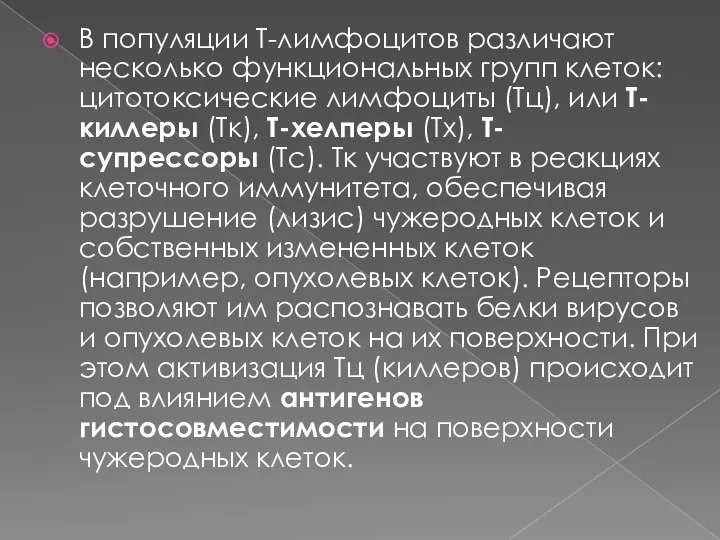 В популяции Т-лимфоцитов различают несколько функциональных групп клеток: цитотоксические лимфоциты (Тц),