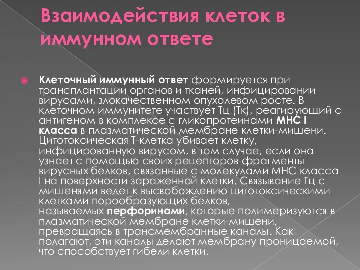 Взаимодействия клеток в иммунном ответе Клеточный иммунный ответ формируется при трансплантации