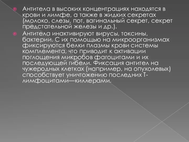 Антитела в высоких концентрациях находятся в крови и лимфе, а также